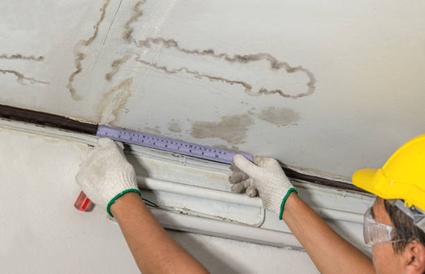 Reliable Sewage Cleanup contractor in Ashland, MO by Water Damage Irwin